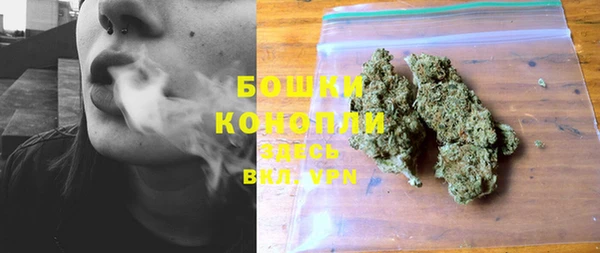 соль ск Верхний Тагил