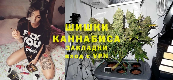 соль ск Верхний Тагил