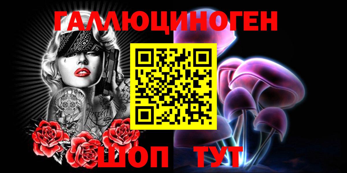 Медногорск  Галлюциногенные грибы Psilocybine cubensis  Вход с VPN 